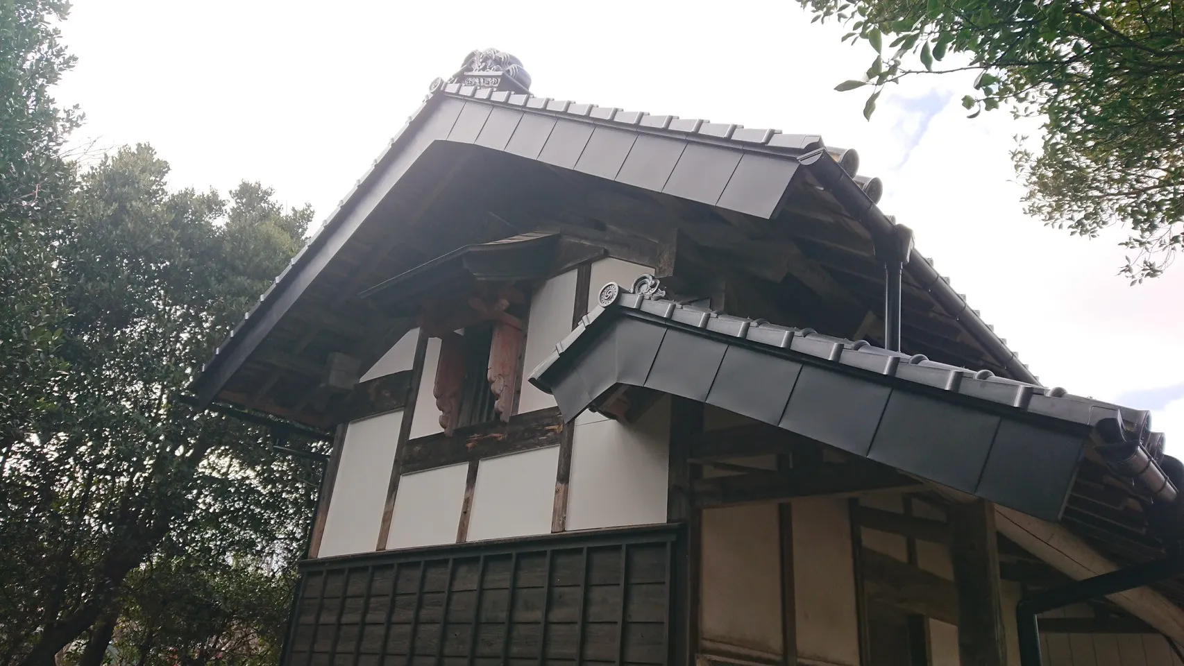 ファーストビュー5